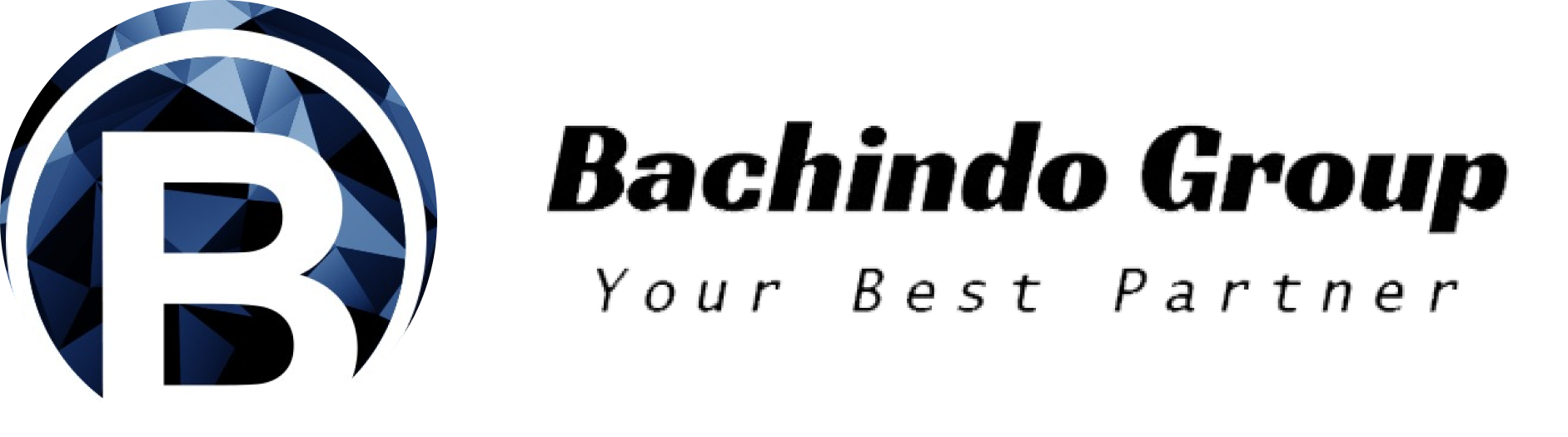 bachindogroup